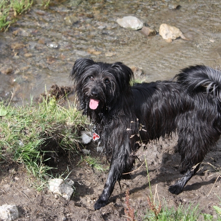 Urlaub im Allgäu (1)